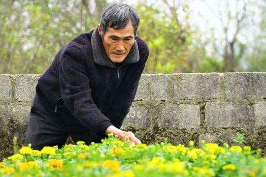 Làm điều không ngờ, lão ngư bị chê "gàn dở" nay thu trăm triệu sau 3 tháng