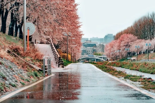 Loạt điểm đến khiến khách mê trong phim 'Tiếng yêu này anh dịch được không'