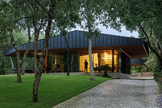 Nhà 1.200 m2 ẩn mình dưới tán cây hoàn thiện trong 8 năm