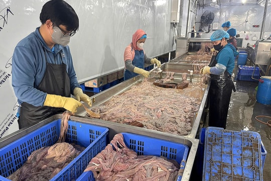 Hơn 60 tấn lòng lợn cấp đông nửa năm, bốc mùi sắp tuồn ra thị trường