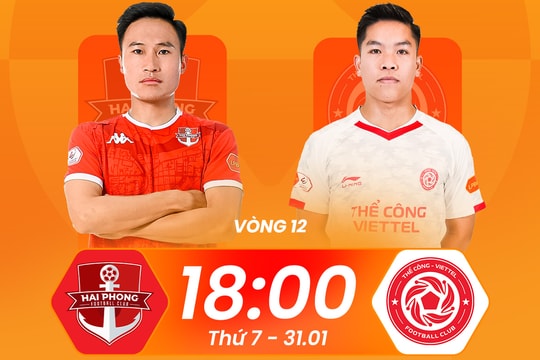 Kết quả Hải Phòng vs Thể Công Viettel, vòng 12 V.League mới nhất
