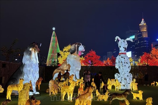 Kỳ ảo lễ hội ánh sáng tại Hong Kong (Trung Quốc)