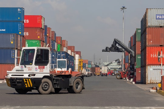 Nhập khẩu thực phẩm, nông sản đình trệ vì chờ hướng dẫn