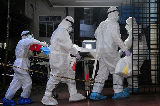 WHO nói virus Nipah 'không có dấu hiệu lan rộng'