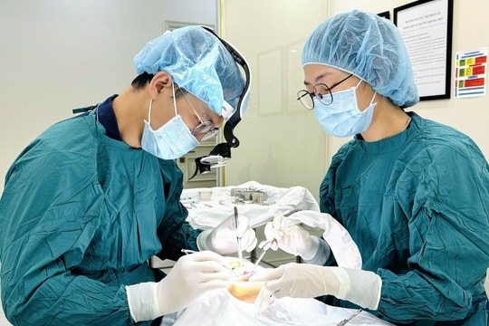 Rà soát về cấp phép thuốc diệt tủy chứa thạch tín