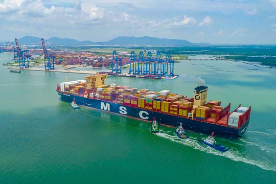 TP HCM phê duyệt dự án cảng Cái Mép Hạ hơn 50.000 tỷ đồng