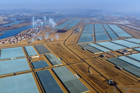 Ảnh hiếm trang trại nhà kính lớn nhất Triều Tiên