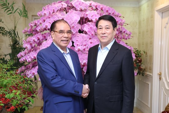 Chủ tịch nước Lương Cường chúc Tết nguyên Tổng Bí thư Nông Đức Mạnh