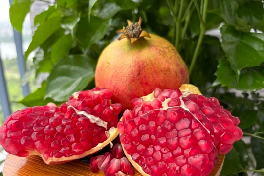 5 loại quả người xơ gan nên ăn thường xuyên