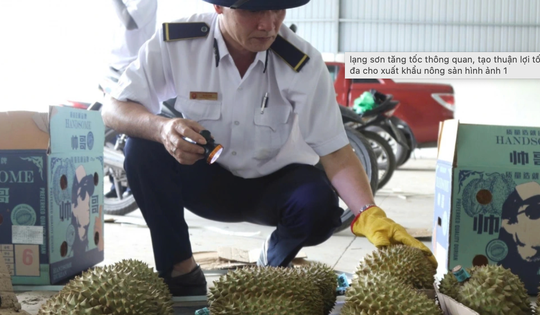 Gỡ vướng kiểm tra nông sản, thực phẩm nhập khẩu