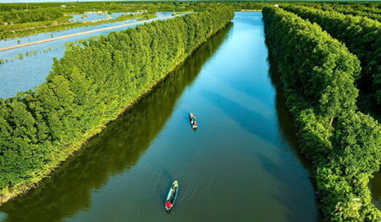 Cua biển Cà Mau liên tục tăng giá