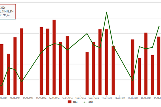 Cổ phiếu niêm yết HNX tháng 1/2026: Thanh khoản tăng 31,41%