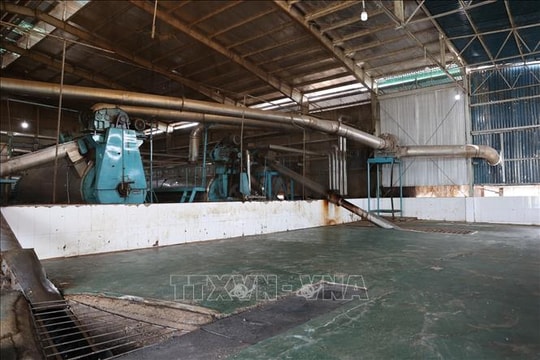 Doanh nghiệp chế biến thủy sản tại TP Hồ Chí Minh 'đói' nguyên liệu