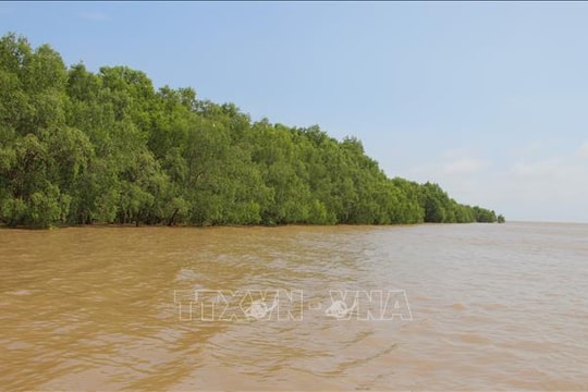 Đánh thức tiềm năng 'viên ngọc xanh' nơi hạ lưu sông Hậu