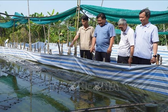 96 năm thành lập Đảng: Bí thư chi bộ xuất sắc của đất Sen hồng