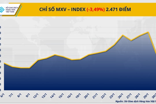 Thị trường hàng hóa ‘đỏ lửa”, MXV-Index lao xuống vùng 2.400 điểm