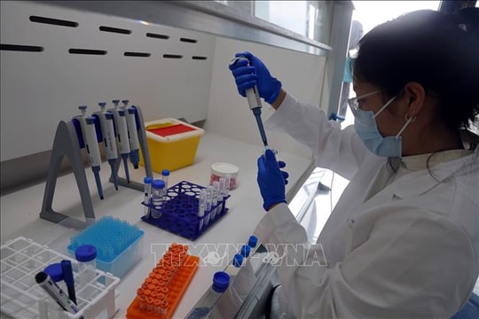 Cấp bách có hướng dẫn việc kiểm tra thực phẩm nhập khẩu