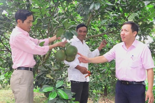 Huế giảm mạnh tỷ lệ hộ nghèo, hướng tới mục tiêu bền vững