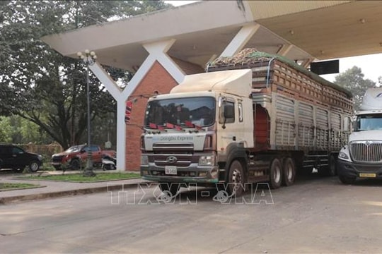 Bộ Công Thương ra công văn hướng dẫn việc kiểm tra an toàn thực phẩm nhập khẩu