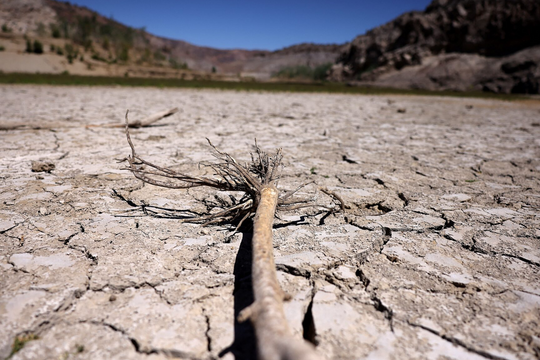 Cảnh báo tác hại môi trường sau các câu lệnh AI