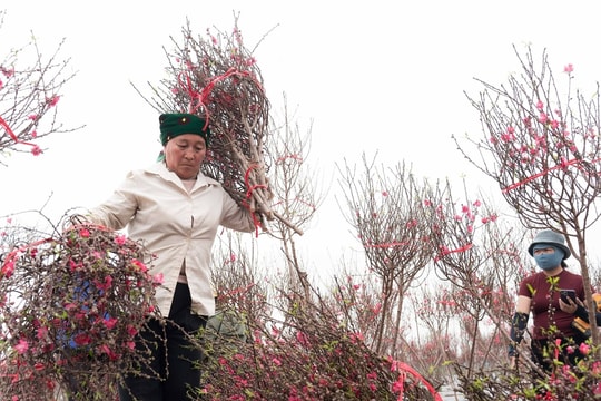 Miền Bắc có thể đón không khí lạnh mạnh trước Tết