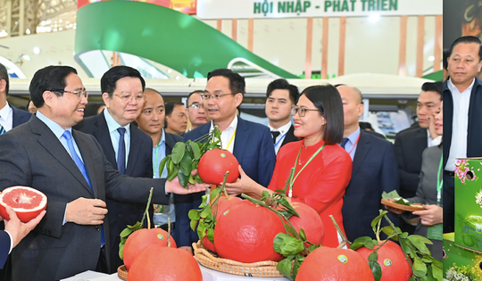 Bước chạy đà cho thị trường Tết