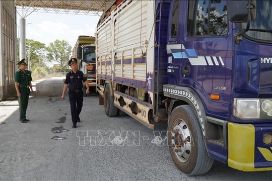 Hải quan hỏa tốc yêu cầu toàn ngành trực 24/7 thông quan thực phẩm nhập khẩu