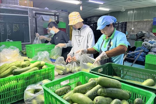 Thưởng Tết Bính Ngọ 2026 tăng hơn năm ngoái dù kinh tế nhiều biến động