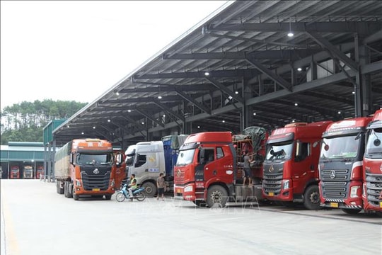 Thủ tướng chỉ đạo tháo gỡ vướng mắc trong triển khai Nghị định về an toàn thực phẩm