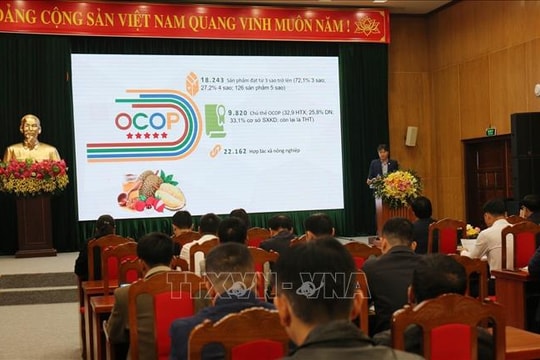 Phát triển đội ngũ cán bộ Mặt trận vững mạnh đáp ứng yêu cầu trong tình hình mới