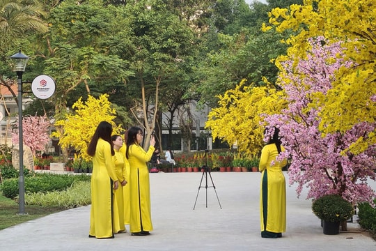 TP Hồ Chí Minh kiểm soát an toàn thực phẩm mùa Tết - Bài 2: Tăng cường kiểm tra tại các lễ hội Tết