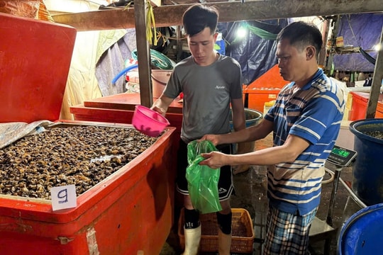 TP Hồ Chí Minh kiểm soát an toàn thực phẩm mùa Tết - Bài 1: Liên tiếp phát hiện vi phạm