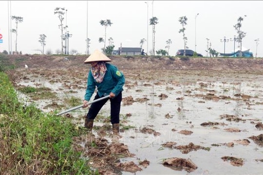 Kết thúc lấy nước sản xuất vụ Đông Xuân: Hoàn thành gần 91% kế hoạch
