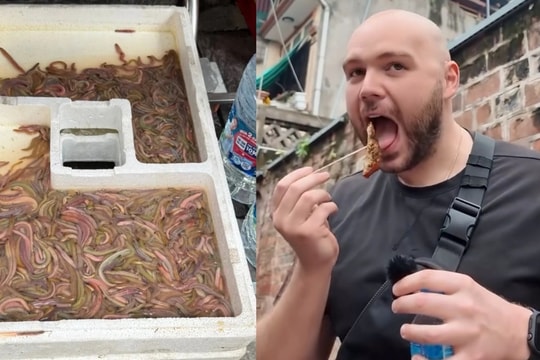 Tưởng bánh rán, khách Tây sửng sốt khi thấy nguyên liệu bò lúc nhúc