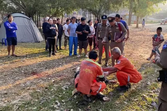 Du khách bị voi giẫm chết ở Thái Lan