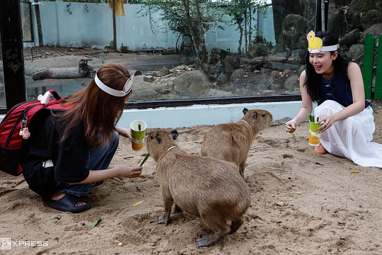 Thảo Cầm Viên lãi liên tiếp 5 năm