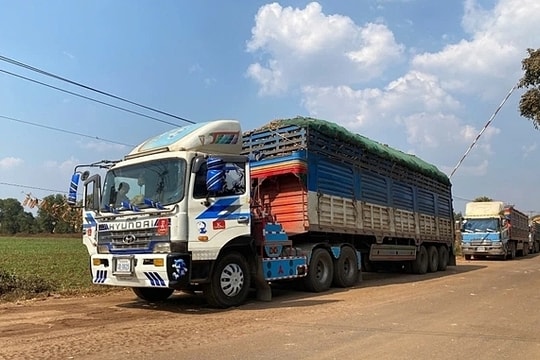 Thủ tướng yêu cầu giải tỏa ách tắc hàng hóa tại cửa khẩu