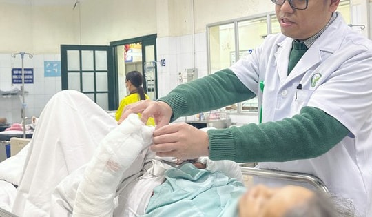 Bị chó tấn công, bà cụ 75 tuổi nguy kịch