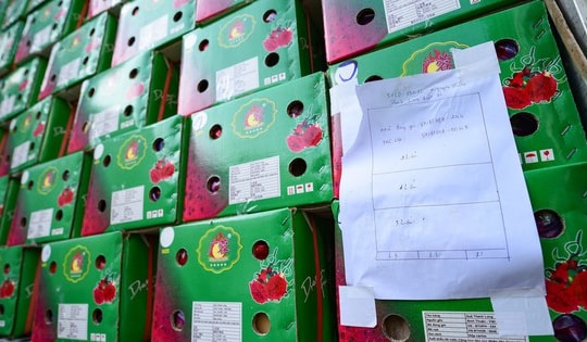 Đề nghị phối hợp cung cấp thông tin về hàng hóa tồn đọng