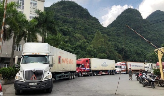 Cục Hải quan hoả tốc yêu cầu "thông quan nhanh" thực phẩm dịp sát Tết Nguyên đán