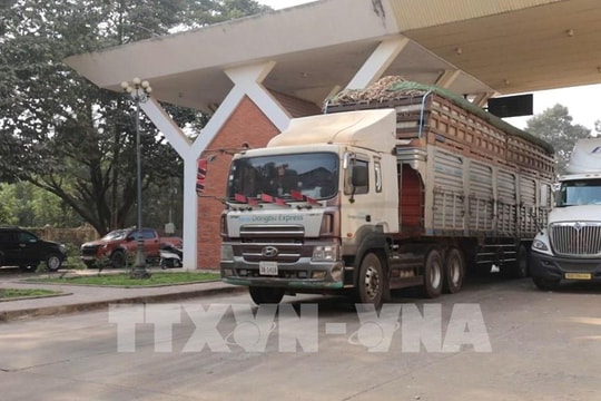 Tạm ngưng áp dụng Nghị định 46: Giải pháp cấp bách gỡ ách tắc thông quan