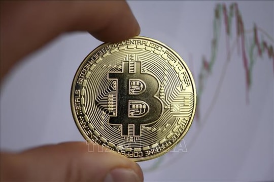 Bitcoin giảm mạnh trước tín hiệu Chính phủ Mỹ không hỗ trợ tiền số