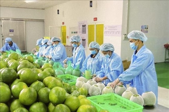 Tăng tốc từ đầu năm, nông nghiệp và môi trường giữ đà tăng trưởng