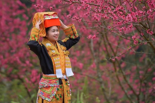 Rực sắc đào nơi biên giới, Lạng Sơn mở hội đón du khách suốt 2 tháng