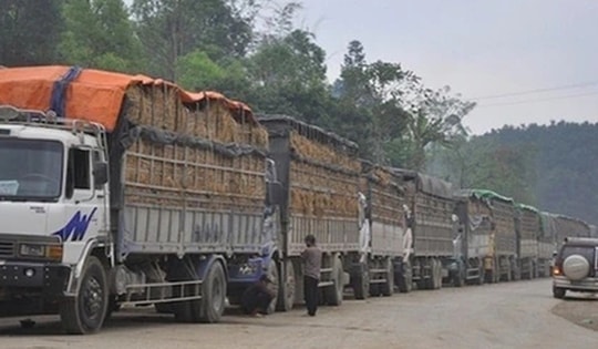 Tạm dừng áp dụng Nghị định 46 về an toàn thực phẩm đến 15-4