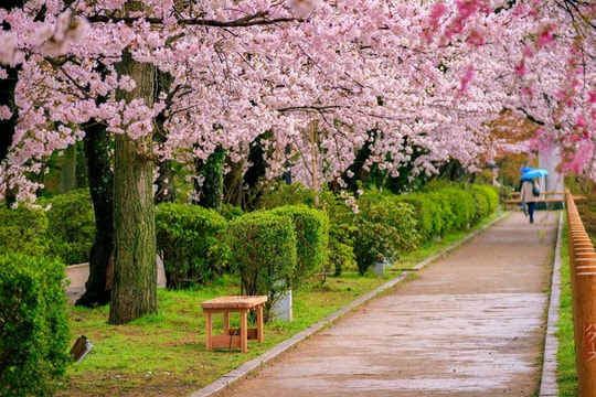 10 thành phố an toàn nhất thế giới cho phụ nữ du lịch một mình