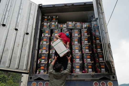 Trung Quốc chi gần 1,5 tỷ USD mua nông sản Việt đầu năm