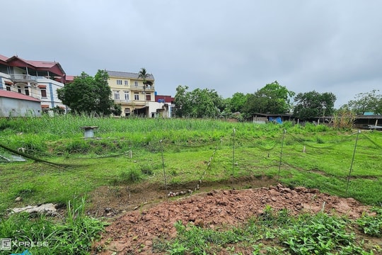 5 chị em cùng cha khác mẹ tranh chấp 5.000 m2 đất thừa kế