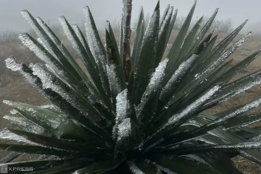 Không khí lạnh mạnh đang tràn xuống miền Bắc