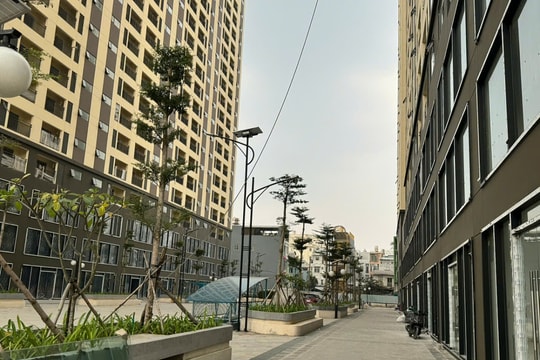 Giá nhà ở xã hội trên đường Lý Thường Kiệt dự kiến hơn 21 triệu đồng mỗi m2